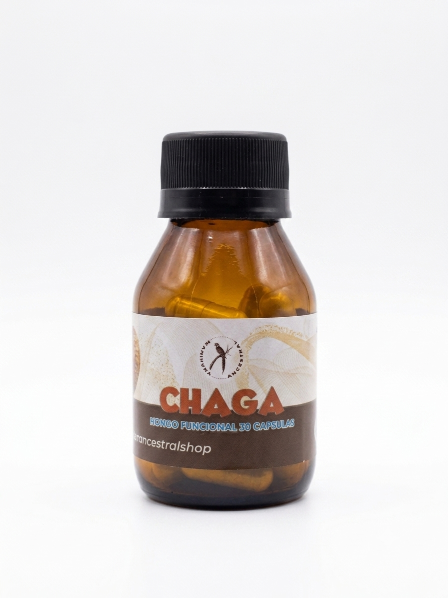 Chaga   (Inonotus obliquus)