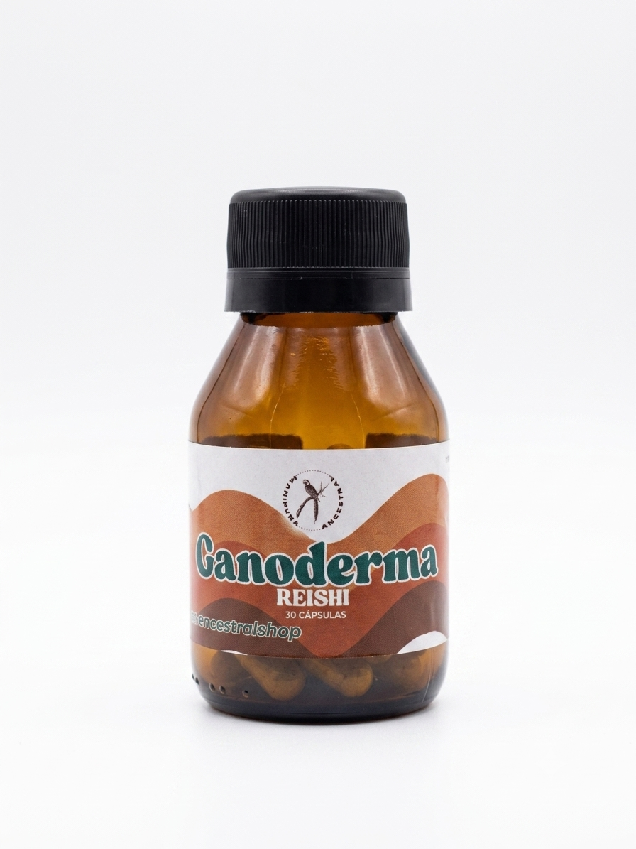 Ganoderma Lucidum (Reishi)